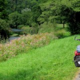 1208F 036 am jungen Neckar